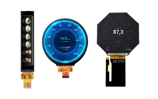 Special  Shape LCD Module