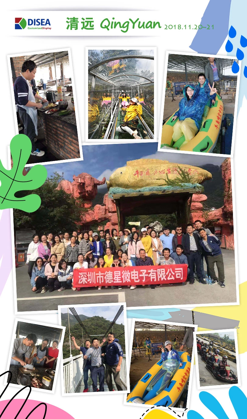 Disea 2018 Annual Company Staff Tour, China Qingyuan, Full of Energy