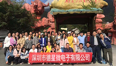 Disea 2018 Annual Company Staff Tour, China Qingyuan, Full of Energy