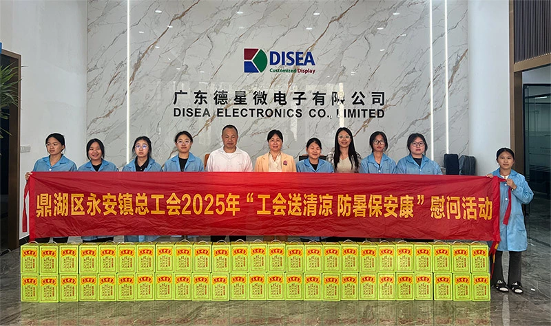 Dinghu District Yong'an Town Trade Union Visits Disea Electronics for High-Temperature Employee Care