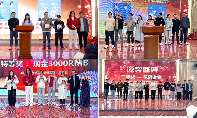 Disea Electronics 2025 Year-End Gala Successfully Concludes: Together We Journey, Smiles Lead the Future