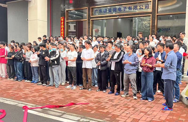 Disea Electronics Holds a Successful 2026 Spring Festival Resumption Ceremony